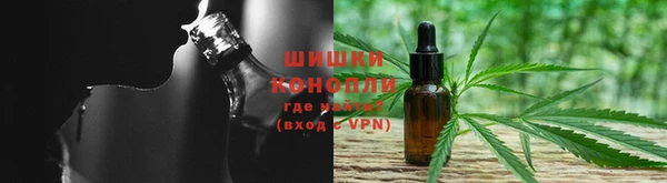 индика Богданович